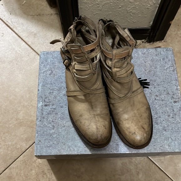 Freebird - Picture 3 of 3